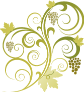 Caractersticas de los productos